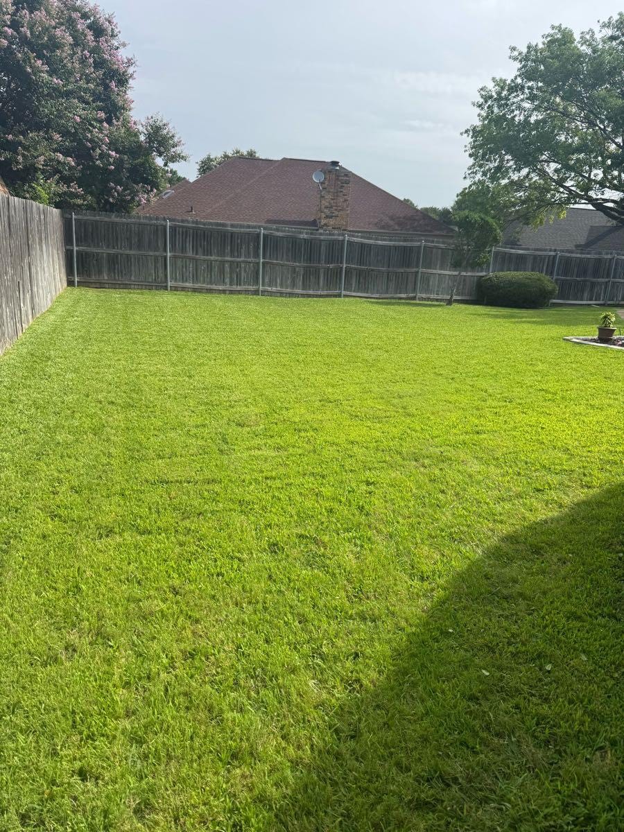Beautiful maintained backyard lawn